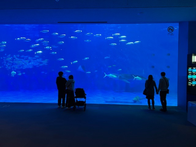 Velká nádrž v akváriu Kagošima