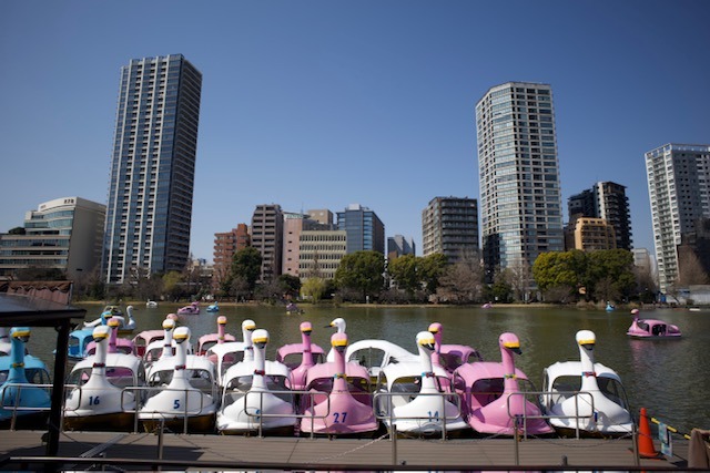 Labutí lodičky na jezeře v parku Ueno