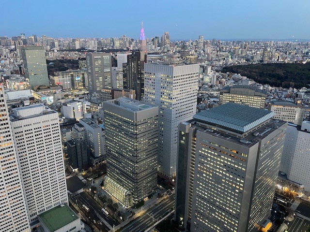 Panorama Tokia z radnice