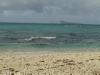 Coin de Mire
