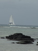 Plachetnice