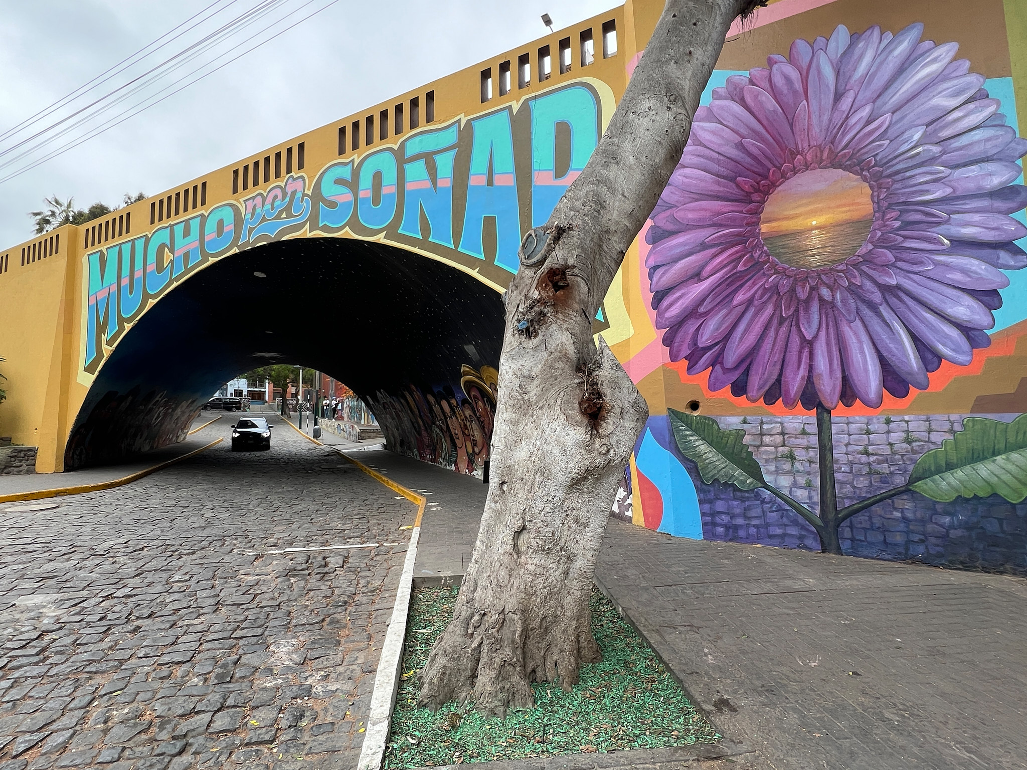 Barevný street art mural s kytkou pod mostem v Barrancu