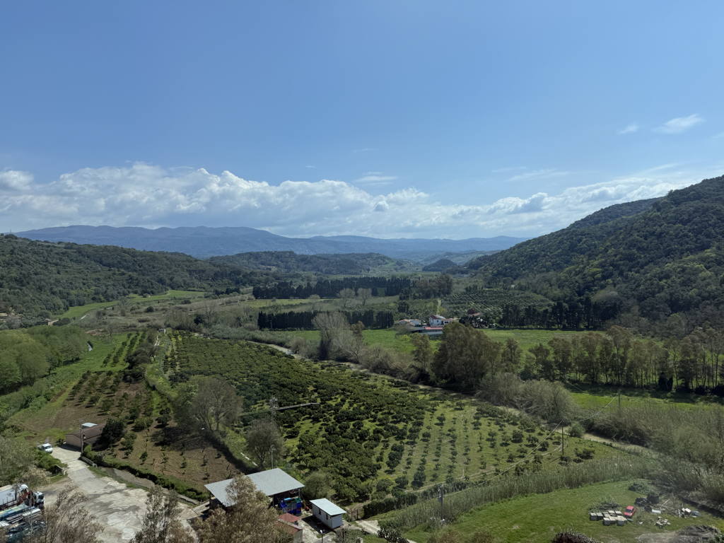 Zelené kopečky a sady